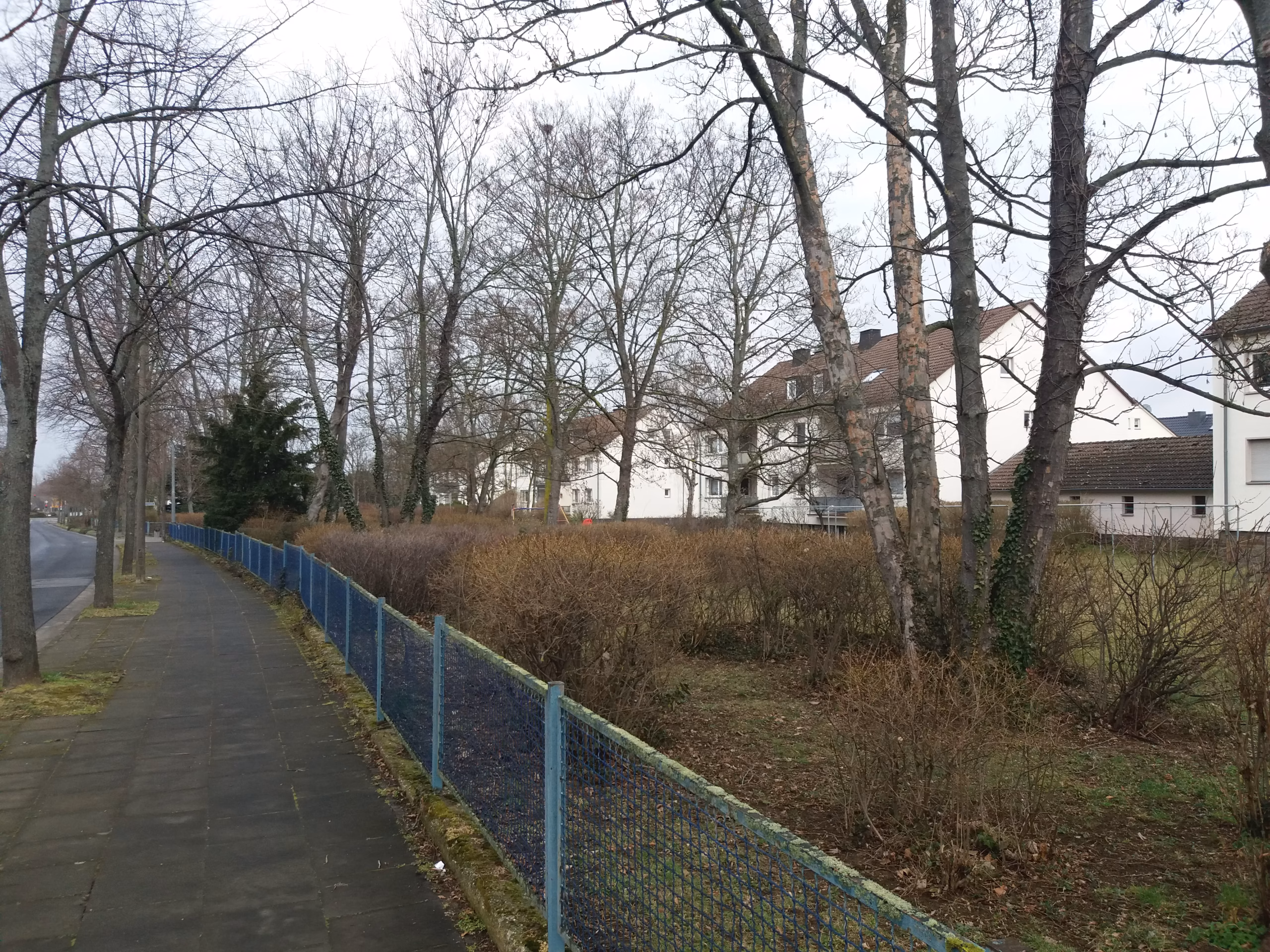 Plangrundstücke an der Aachener Straße