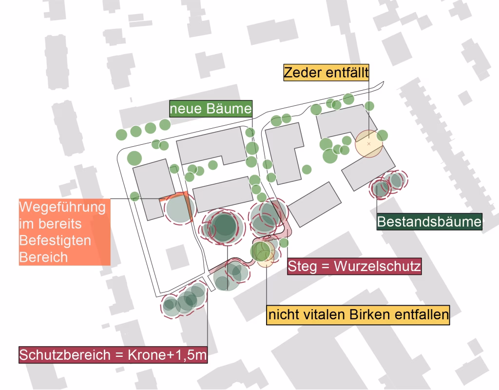 Neues Quartier Gartenstraße Bonn-Beuel: Baumschutzkonzept